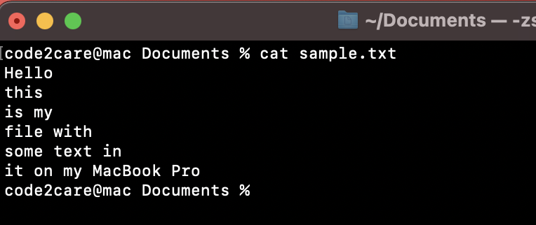 7. macOS Terminal cat command